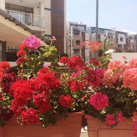 Sun 1 - Family Apart Slăntjev Brjag