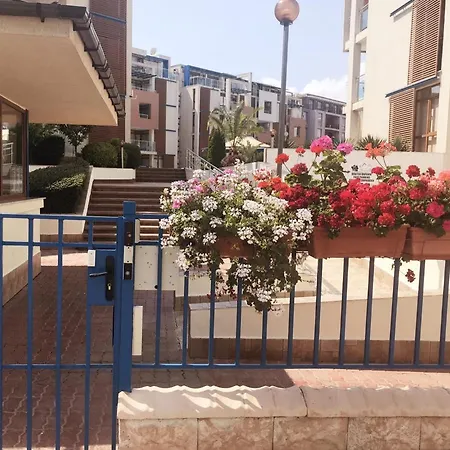 Sun 1 - Family Apart * 써니비치